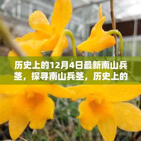 歷史上的12月4日南山兵莖,探尋其深遠(yuǎn)影響與影響歷程