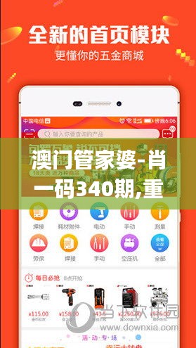 澳門管家婆-肖一碼340期,重要性解析方法_WP181.684-8