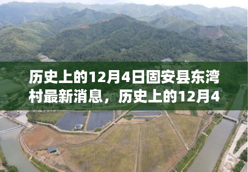 輕徙鳥(niǎo)舉 第4頁(yè)