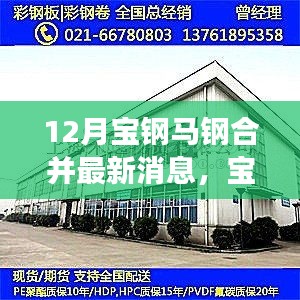 寶鋼馬鋼合并最新進展,攜手共進,冬日傳遞溫情與陪伴