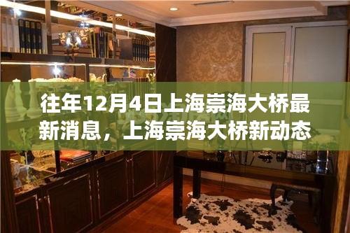 上海崇海大橋新動態,與自然美景的邂逅之旅揭秘最新消息