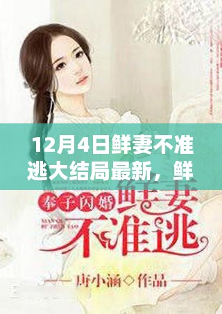 鮮妻十二月奇跡,大結(jié)局最新揭秘與歡樂(lè)日常回顧