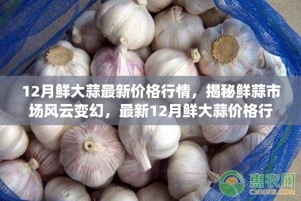揭秘最新鮮大蒜行情，12月鮮大蒜價格解析與市場風云變幻