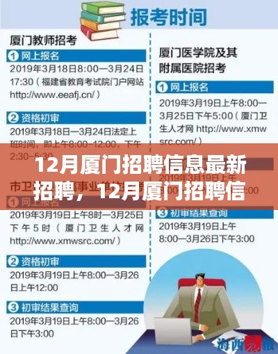 12月廈門最新招聘信息全面評測與介紹