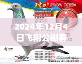 揭秘最新公告，飛翔公棚春棚更新動態(tài)，關注所有你關心的內容