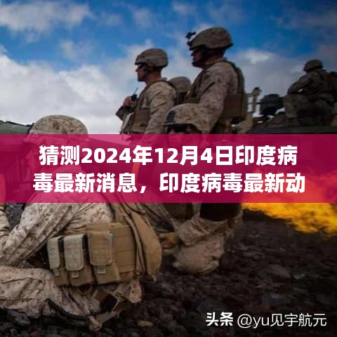 2024年12月4日印度病毒最新動態與預測洞察