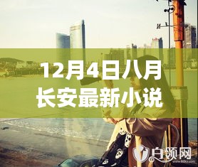 八月長安最新小說時(shí)光織夢人全面評測與深度介紹