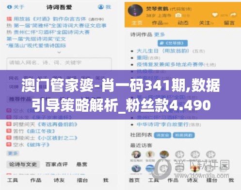 澳門管家婆-肖一碼341期,數據引導策略解析_粉絲款4.490