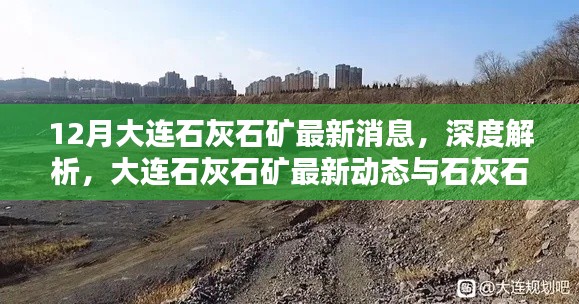 大連石灰石礦最新動態與產品特性深度解析，12月消息速遞