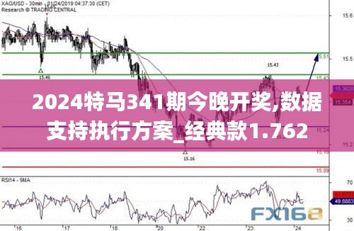 2024特馬341期今晚開(kāi)獎(jiǎng),數(shù)據(jù)支持執(zhí)行方案_經(jīng)典款1.762