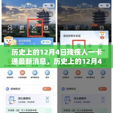 歷史上的12月4日,殘疾人一卡通引領自然探索之旅,最新消息帶來心靈寧靜