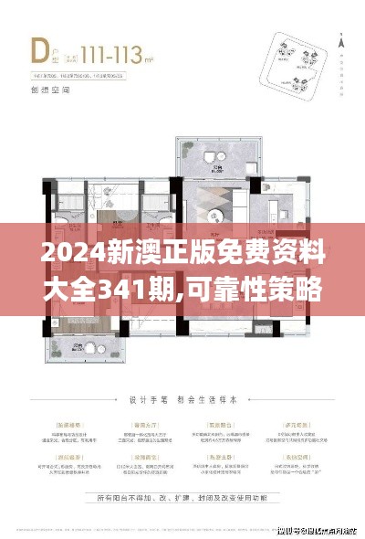 2024新澳正版免費資料大全341期,可靠性策略解析_VR10.790