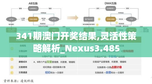 341期澳門開獎結(jié)果,靈活性策略解析_Nexus3.485