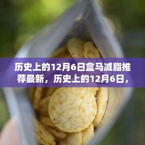 歷史上的12月6日，盒馬減脂引領健康之旅，勵志成就感的自信之旅