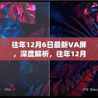 往年12月6日最新VA屏深度解析，表現如何？