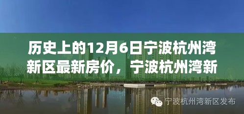 寧波杭州灣新區房價動態,歷史房價回顧與探索自然美景之旅的新篇章(12月6日更新)