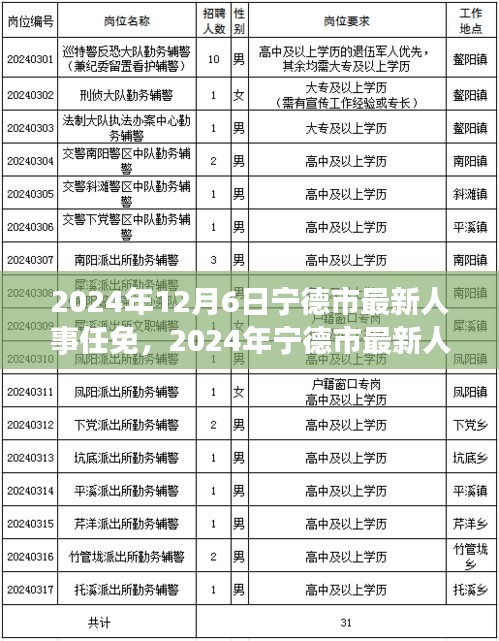 2024年寧德市人事任免信息解讀與操作指南，初學者與進階用戶必讀