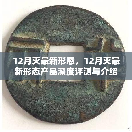 12月最新形態產品深度評測與介紹,全新體驗揭秘