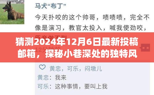 探秘小巷深處的秘密美食館,揭秘獨特風味與最新投稿郵箱猜想(2024年12月6日)