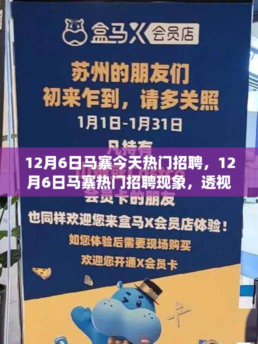 12月6日馬寨熱門招聘現(xiàn)象深度解析,利弊與個人觀點透視