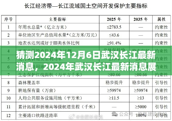 關于武漢長江發展與保護的探討，最新消息展望至2024年12月6日