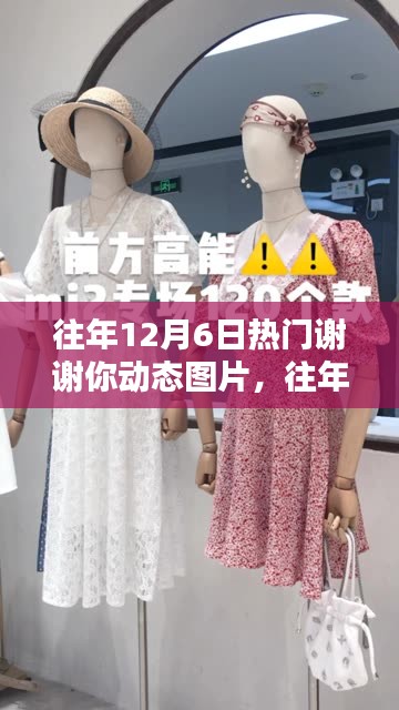 往年12月6日熱門謝謝你動態(tài)圖片全解析與介紹