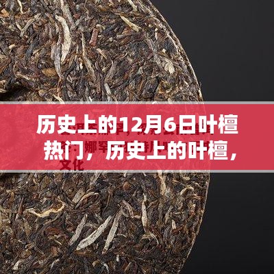 葉檀,歷史上的傳奇人物與熱門話題,12月6日的獨(dú)特印記回顧