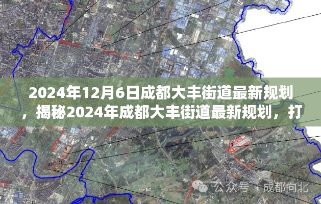 揭秘未來藍圖，成都大豐街道2024年最新規劃展望