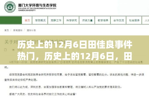 揭秘歷史上的田佳良事件,背后的故事與深遠(yuǎn)影響