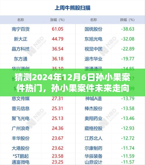揭秘孫小果案件未來走向,預測熱點揭秘與未來展望(預計至2024年12月)