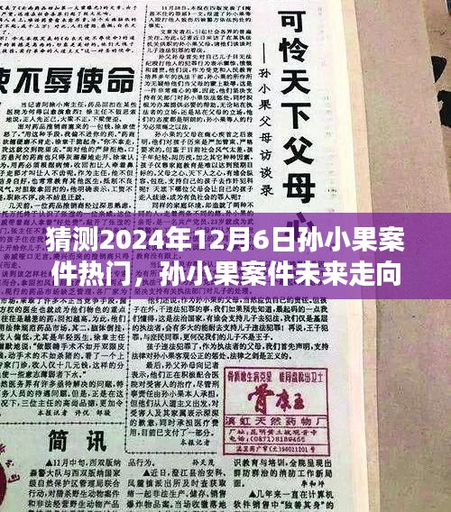 揭秘孫小果案件未來走向,預測熱點揭秘與未來展望(預計至2024年12月)