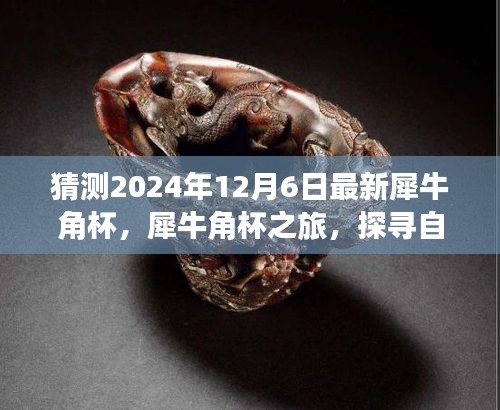 犀牛角杯之旅，探尋自然美景，尋找內(nèi)心寧靜與平和的新體驗(yàn)（犀牛角杯預(yù)測(cè)）