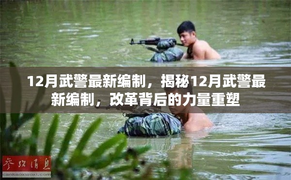 揭秘，12月武警最新編制與力量重塑背后的改革之路