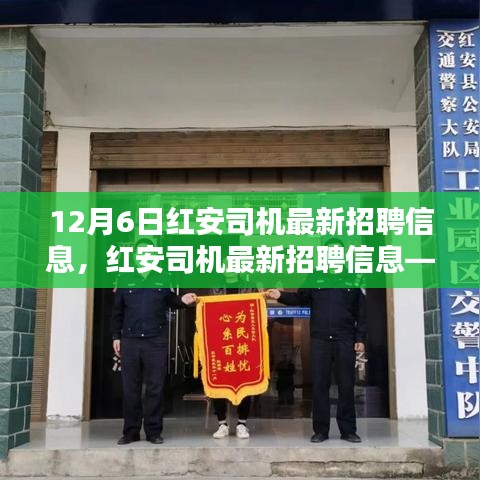 紅安司機(jī)最新招聘信息發(fā)布，求職要點(diǎn)解析與求職指南（12月6日更新）