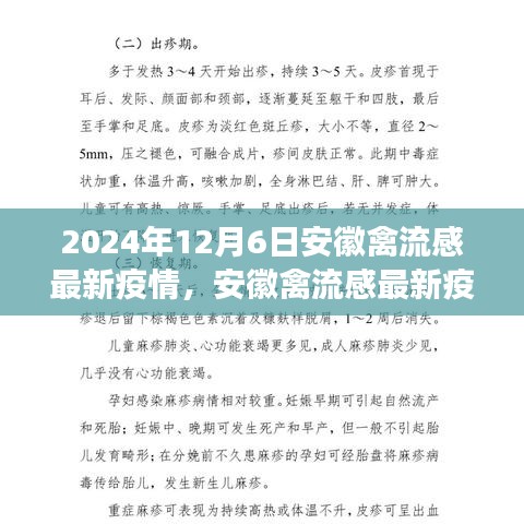 深度觀察,安徽禽流感最新疫情背景、進(jìn)展與影響分析(2024年12月6日)
