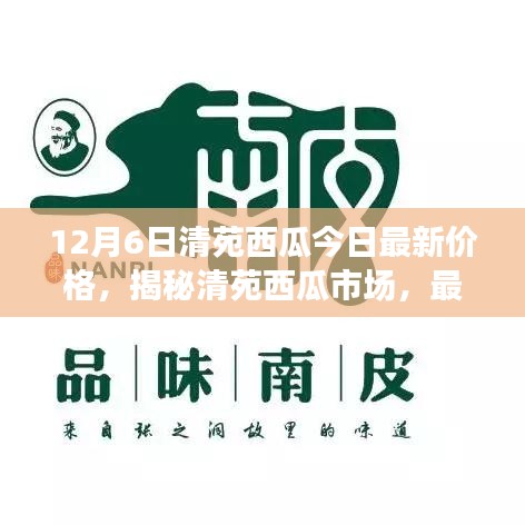 清苑西瓜最新價格動態(tài)及市場分析,揭秘市場趨勢(以12月6日數(shù)據(jù)為例)