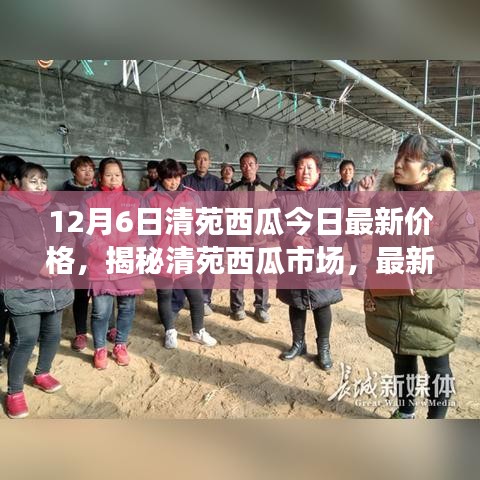 清苑西瓜最新價格動態(tài)及市場分析,揭秘市場趨勢(以12月6日數(shù)據(jù)為例)