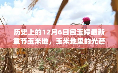 包玉婷的勵志人生，玉米地里的光芒與學習的力量，照亮人生旅途的篇章