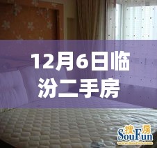 揭秘臨汾二手房市場，熱門房源探秘與小巷深處的隱藏寶藏