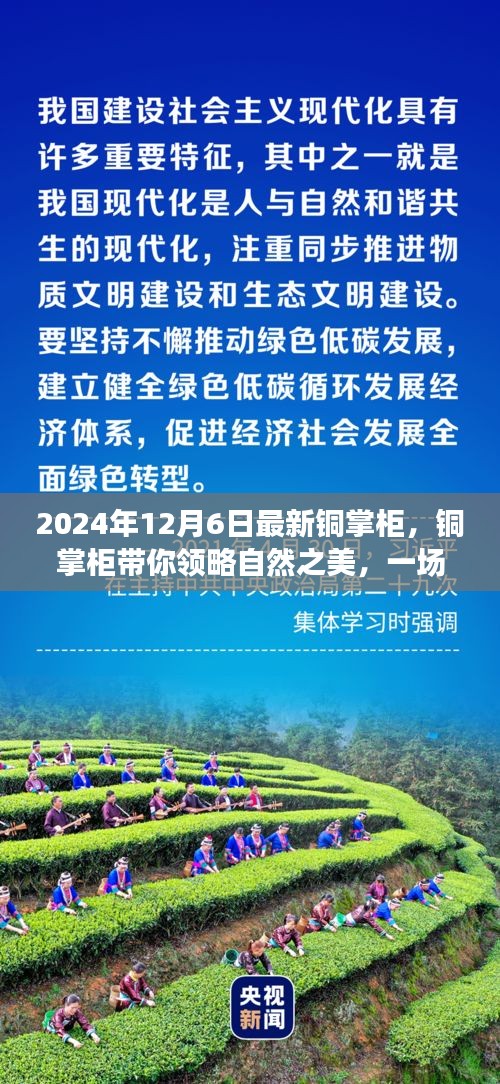 銅掌柜帶你領略自然之美，一場尋找內心平靜的奇妙旅程（最新資訊）