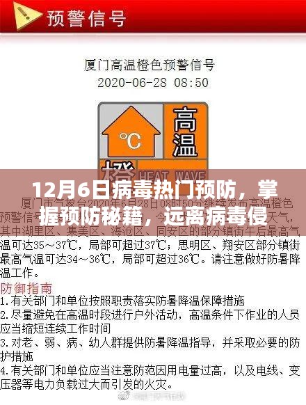 掌握預(yù)防秘籍,遠(yuǎn)離病毒侵襲,12月6日熱門病毒預(yù)防指南(小紅書版)