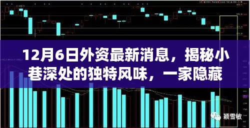 揭秘隱藏版外資特色小店,獨(dú)家探訪小巷深處的獨(dú)特風(fēng)味(最新消息)