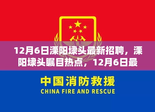 12月6日溧陽埭頭最新招聘信息揭秘，矚目熱點(diǎn)崗位一網(wǎng)打盡