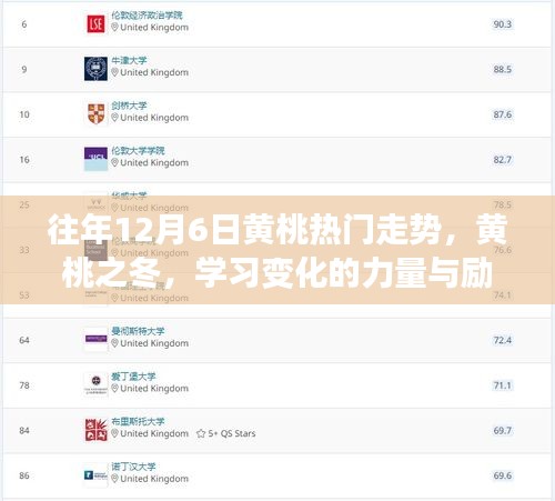 黃桃之冬，揭秘歷年熱門走勢，勵志學習之旅開啟的力量與變化