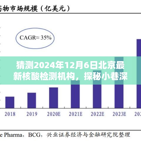 探秘北京隱藏版核酸檢測機構，2024年12月6日最新核酸檢測寶藏揭秘