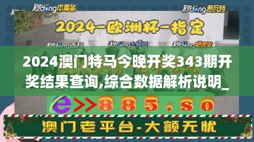 2024澳門特馬今晚開獎343期開獎結果查詢,綜合數據解析說明_Kindle7.385