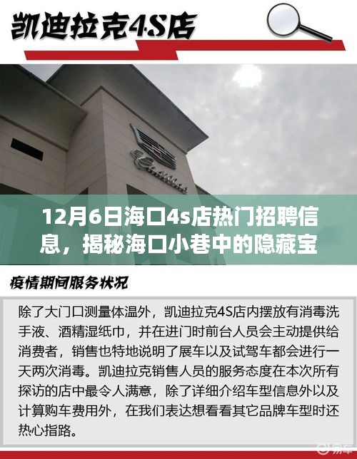 海口特色4S店招聘信息揭秘,小巷寶藏人才盛宴,職場(chǎng)體驗(yàn)大不同