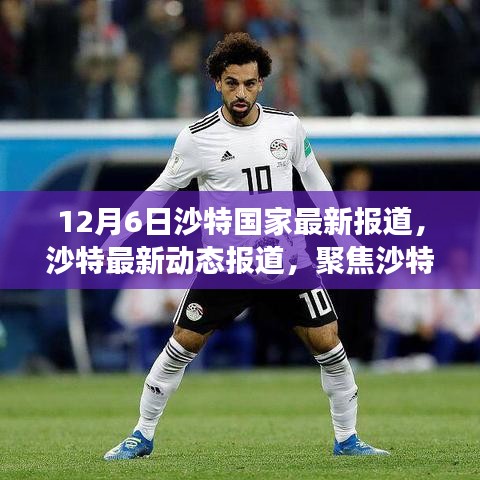 沙特國家發展三大看點聚焦,最新動態報道與深度解讀(沙特最新報道)