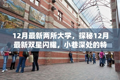 探秘最新雙星閃耀,揭秘十二月新大學與小巷特色小店中的隱藏時光