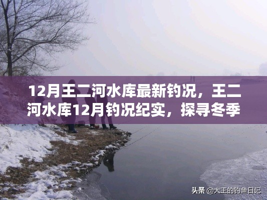 探尋冬季垂釣奧秘與魅力,王二河水庫12月釣況紀實
